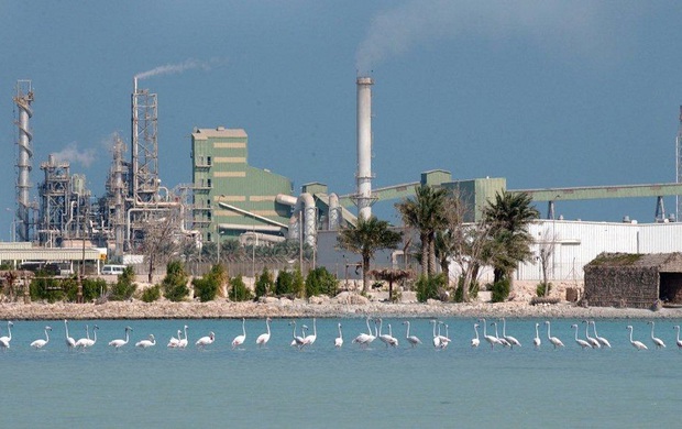 Rapporto GPCA: nel Golfo cresce la produzione