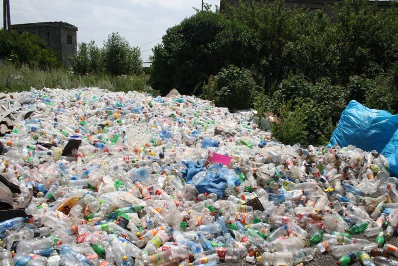 Bottiglie in PET, eco-compattatori Corepla in Basilicata
