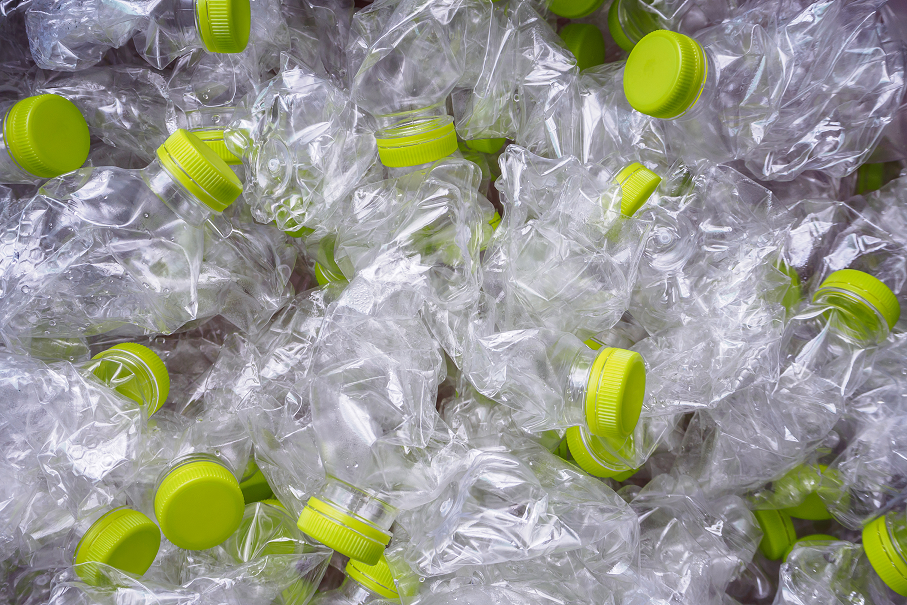Carry Bottles - Bottiglia in vetro da 0,7 l (Let the Bees be), borraccia sportiva, senza BPA, a tenuta stagna e gassata, made in Germany