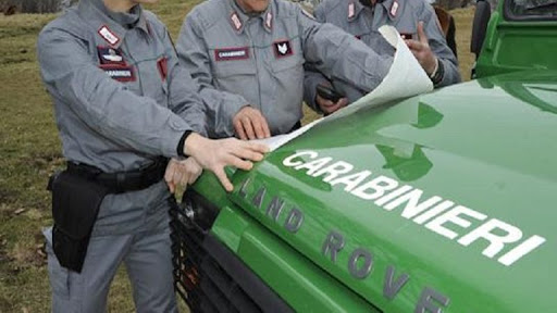 Bruciano rifiuti plastici: denunciati