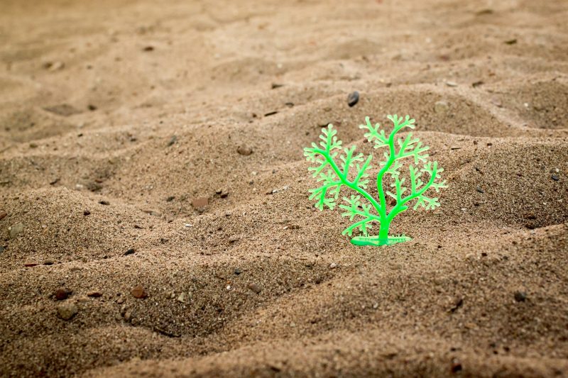 Bioplastiche, crescono mercato e applicazioni