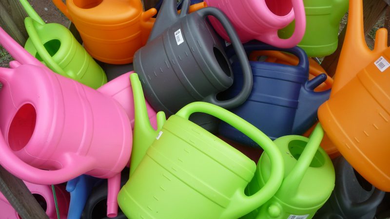 Il fior fiore delle plastiche